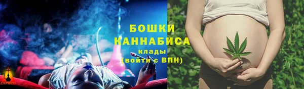 spice Арсеньев