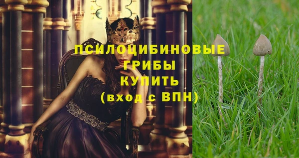 не бодяженный Аркадак