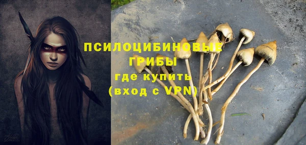 дмт Армянск