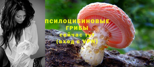 дмт Армянск