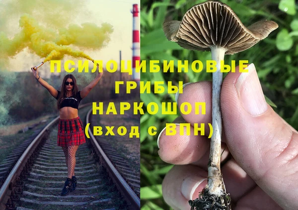 не бодяженный Аркадак