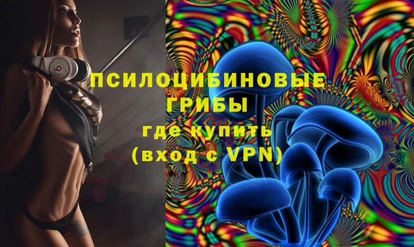 не бодяженный Аркадак