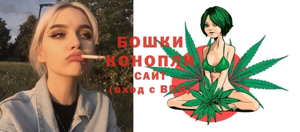 spice Арсеньев