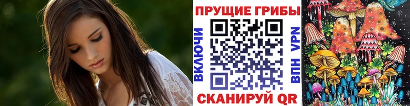 Галлюциногенные грибы мицелий  площадка телеграм  Жигулёвск  МЕГА tor 